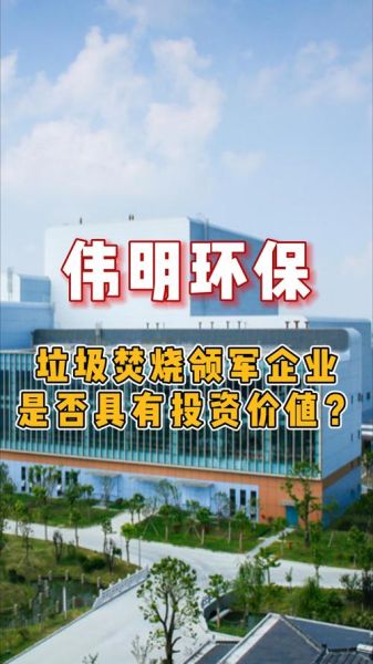 伟明环保集团有限公司怎么样_伟明环保集团做什么的