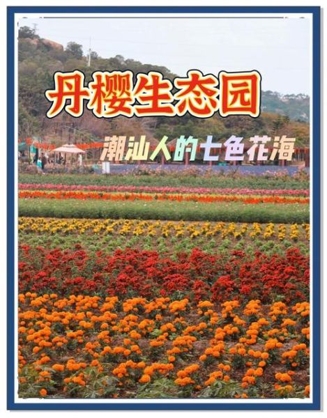 花海什么时候去最好_花海门票价格是多少