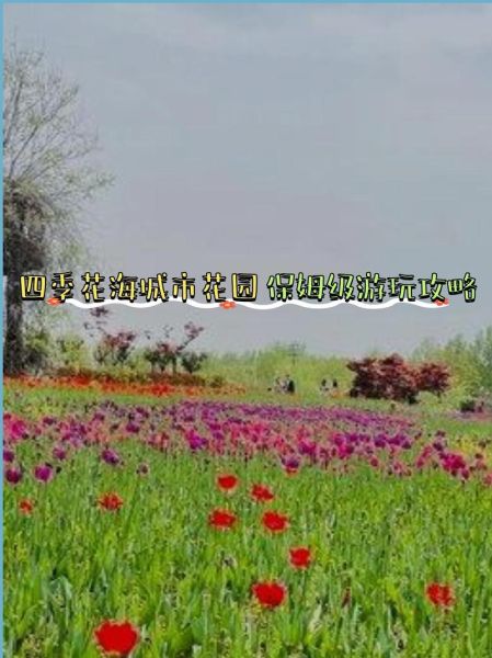 花海什么时候去最好_花海门票价格是多少