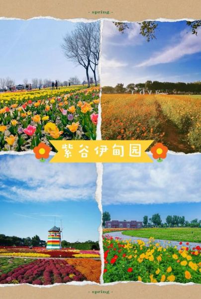 花海什么时候去最好_花海门票价格是多少