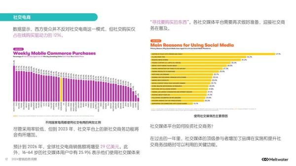 国际广告前景如何_2024全球营销趋势