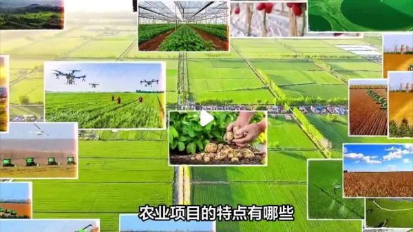 农业行业前景如何_农业创业项目有哪些