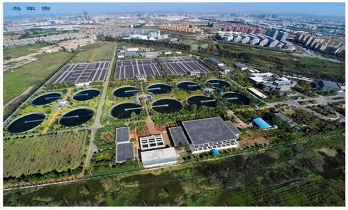 三洲水质净化有限公司怎么样_三洲水质净化有限公司靠谱吗