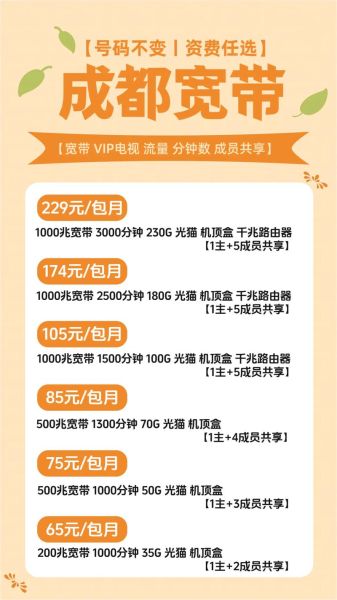 家用宽带怎么选_宽带网速慢怎么办