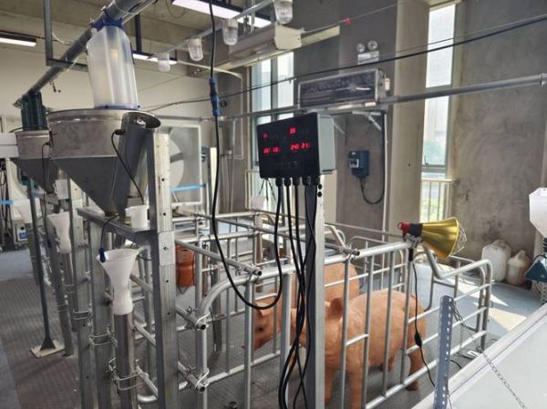 养殖设备有哪些_如何选择自动化养殖设备