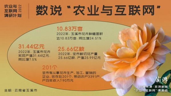 农民为什么对互联网不信任_怎样提高农村网络信任度