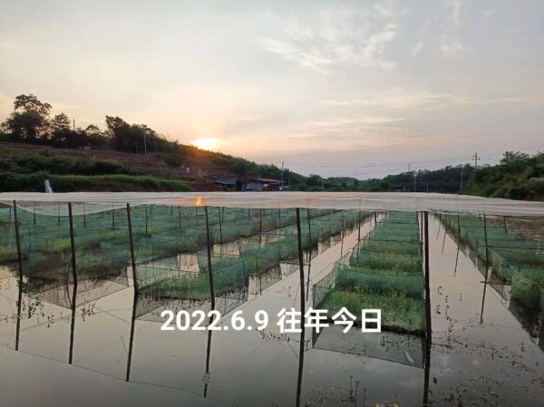 2015养殖业前景如何_2015养殖业什么最赚钱