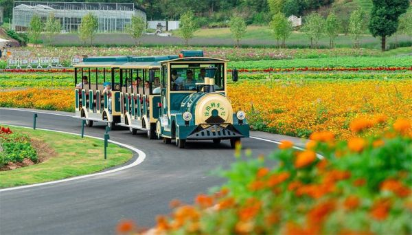 铁路互联网模式的意义_铁路互联网化如何改变出行