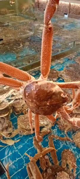 海水养殖行业前景如何_海水养殖赚钱吗