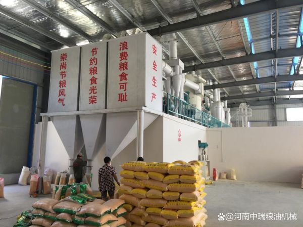 粮食加工行业前景如何_粮食加工厂投资多少钱