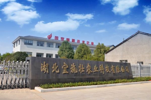 上海宜国投资有限公司怎么样_上海宜国投资可靠吗