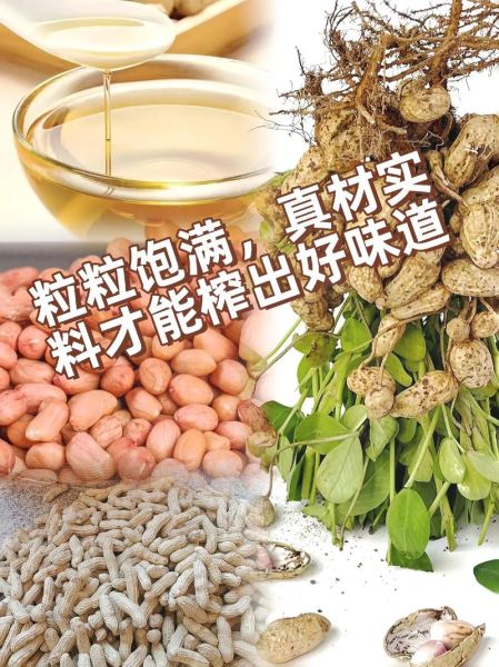 花生油哪个牌子好_花生油和菜籽油哪个更健康