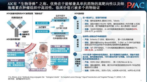 抗体药市场前景如何_抗体药研发难点有哪些
