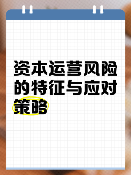 互联网资本运营现状_如何规避风险
