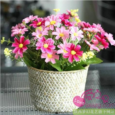 仿真花适合放在家里吗_仿真花会不会有毒