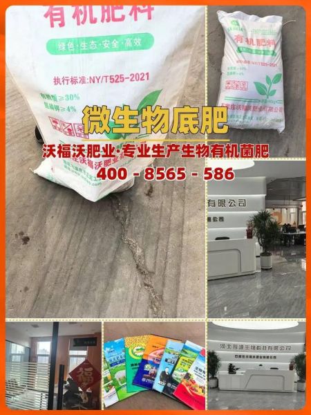 有机肥怎么选_有机肥价格多少钱一吨