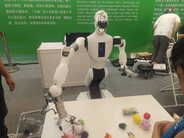 微型机器人发展前景_未来十年能做什么