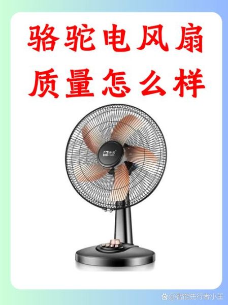 风扇什么牌子好_风扇怎么选