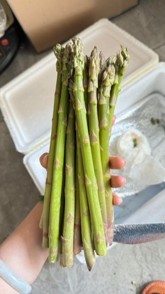 芦笋种植前景如何_芦笋市场前景怎么样