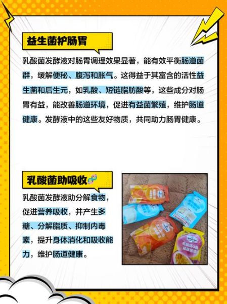 乳酸菌的作用与功效_乳酸菌市场前景如何