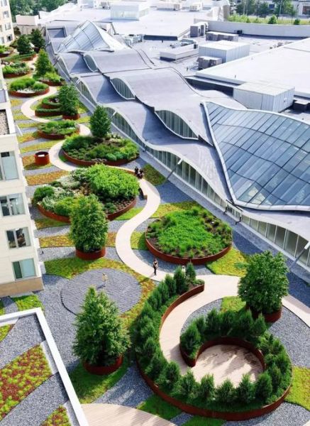 屋顶绿化怎么做_屋顶绿化前景如何