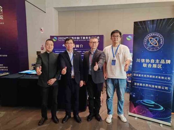 it服务发展前景怎么样_2024年值得入行吗