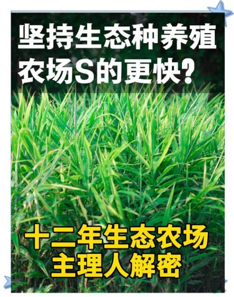 生态养殖的前景怎么样_生态养殖有哪些优势