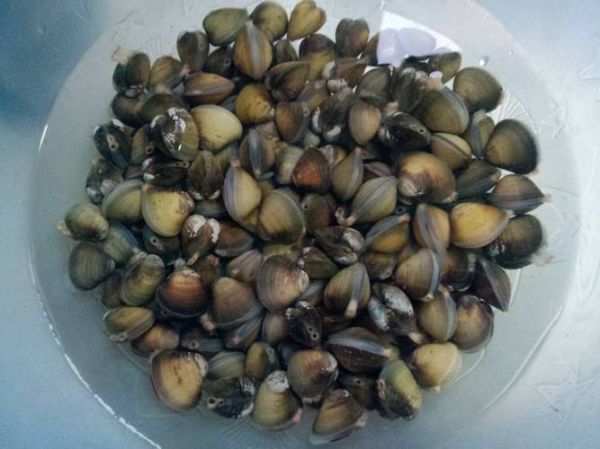 莱阳海林食品怎么样_莱阳海林食品有哪些特色产品