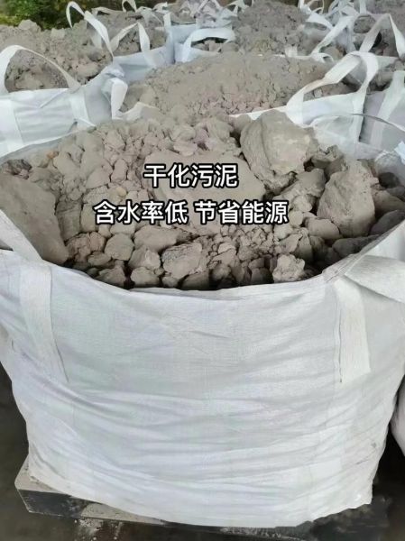 污泥处置有限公司排名哪家好_如何选择靠谱企业