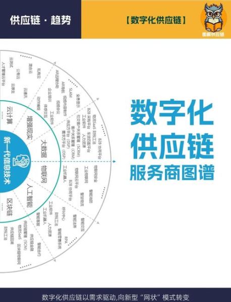 供应链数字化转型如何落地_互联网供应链行业报告