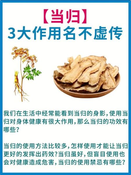 当归价格多少钱一斤_当归的功效与作用禁忌