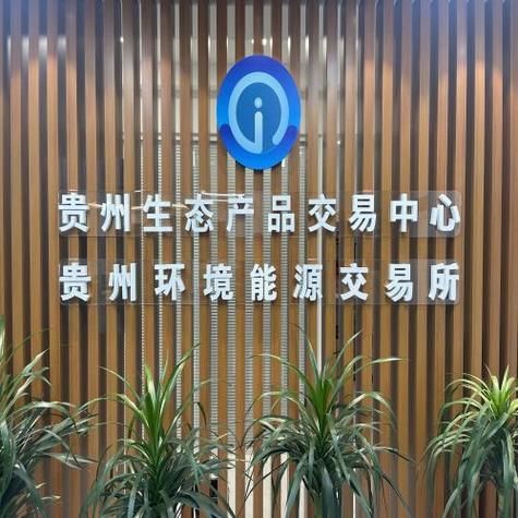 中国环境能源有限公司怎么样_主营业务有哪些