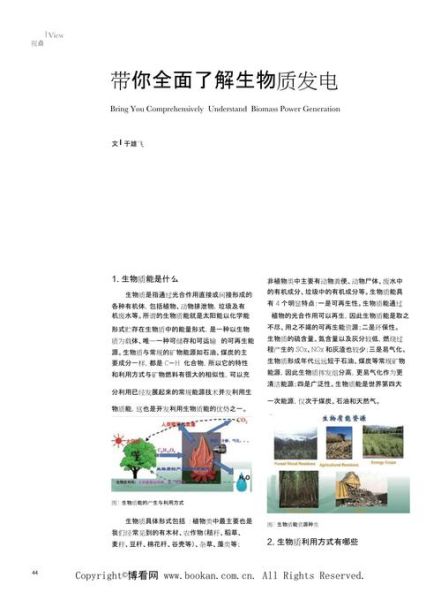 生物质发电前景如何_生物质发电有前途吗