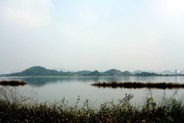 马山前景怎么样_马山投资前景如何