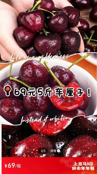 樱桃多少钱一斤_樱桃怎么挑选才甜