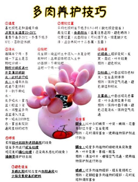 多肉植物赚钱吗_新手如何入门多肉行业
