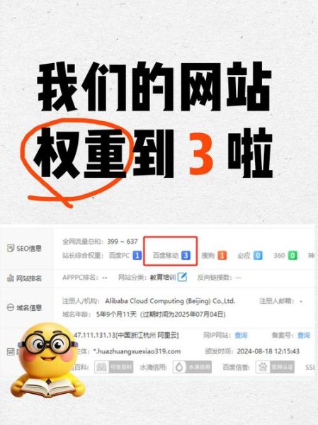 全球网站排名怎么看_如何提升网站权重