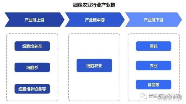 中国农业发展前景如何_未来农业投资机会在哪