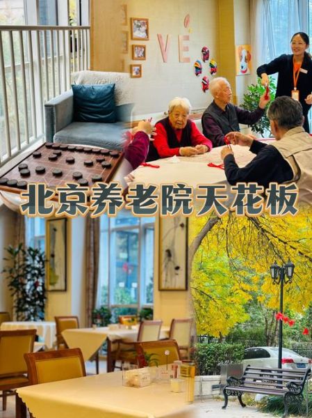 养老院前景如何_2024年值得投资吗