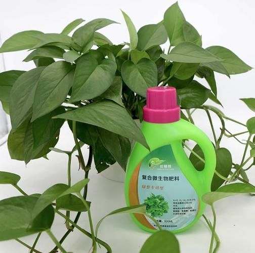 绿倍生态科技有限公司怎么样_绿倍生态科技有哪些产品