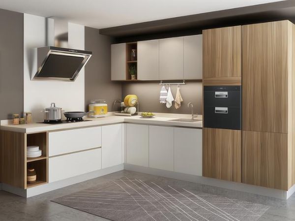 橱柜行业前景怎么样_橱柜加盟还能赚钱吗