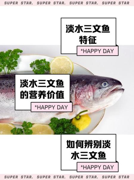 三文鱼市场前景怎么样_2024年三文鱼价格会涨吗