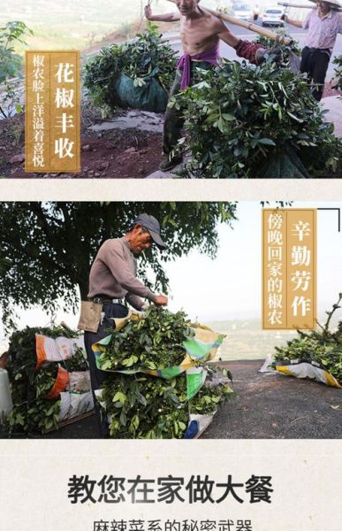 青花椒种植赚钱吗_青花椒价格行情怎么样