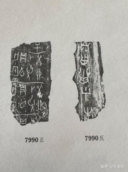 甲骨文公司互联网教育是什么_甲骨文在线教育平台有哪些