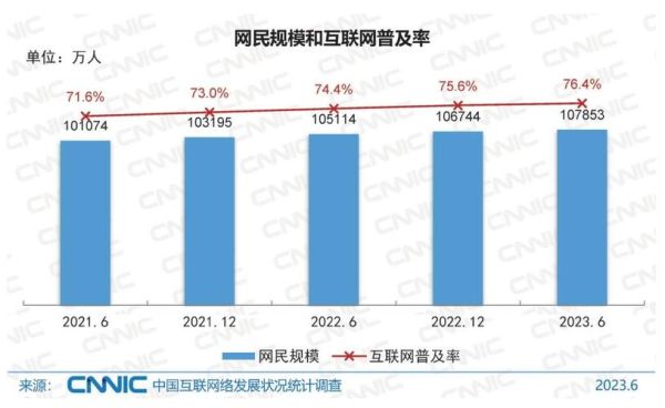 中国互联网用户规模有多大_2020年网民行为有哪些变化