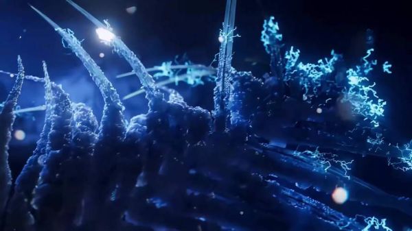 粒子前景是什么_粒子前景怎么实现