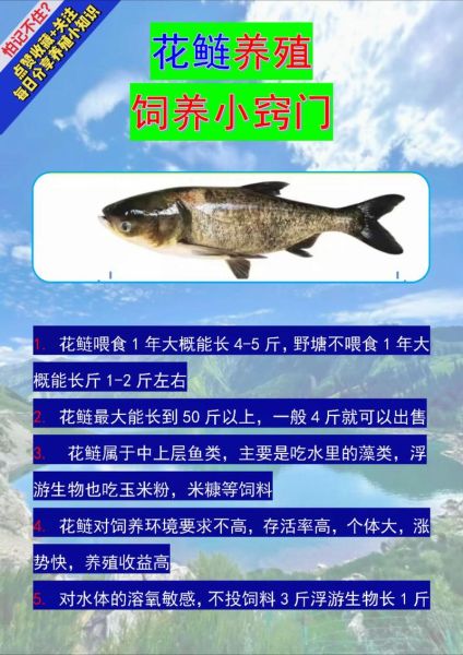 水产养殖如何选苗_水产饲料哪种好