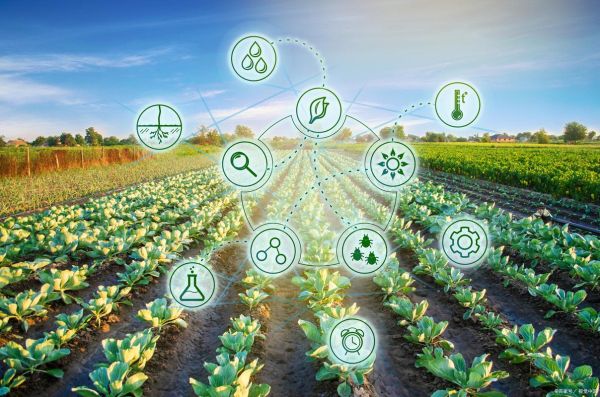 有机产业如何盈利_有机农业创业前景怎么样