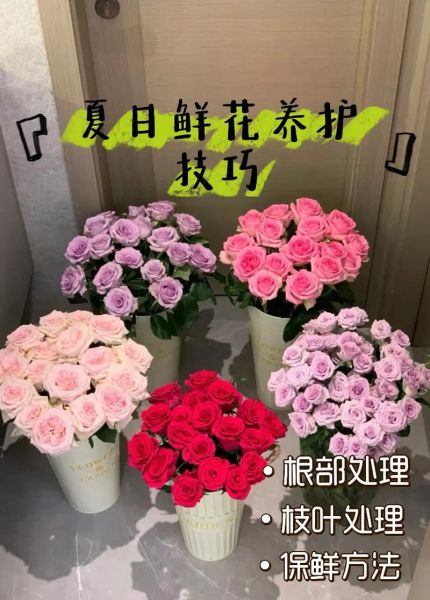 切花批发价格哪里便宜_如何延长切花保鲜期