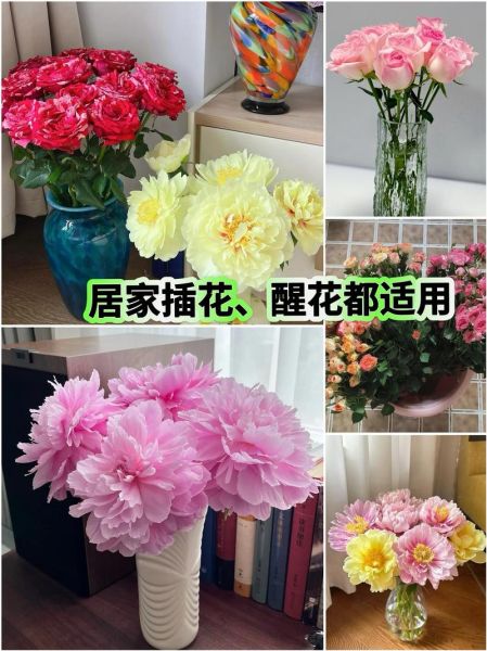 切花批发价格哪里便宜_如何延长切花保鲜期